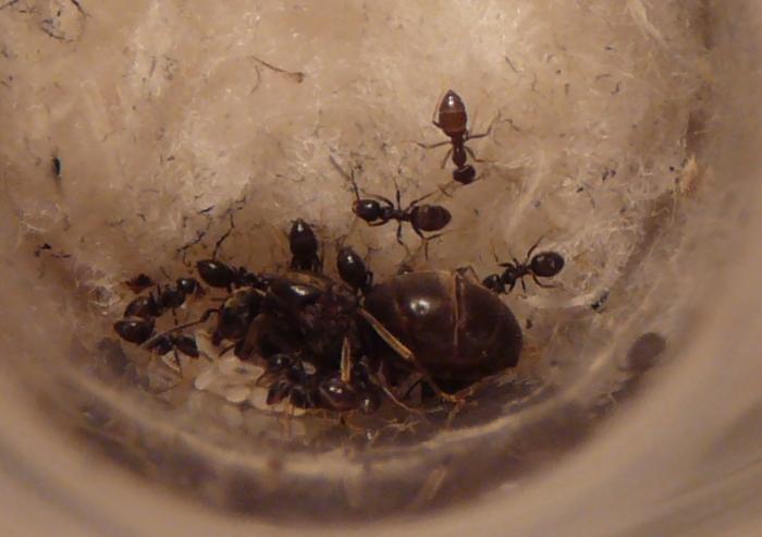 P1050198 - копиÑ.JPG