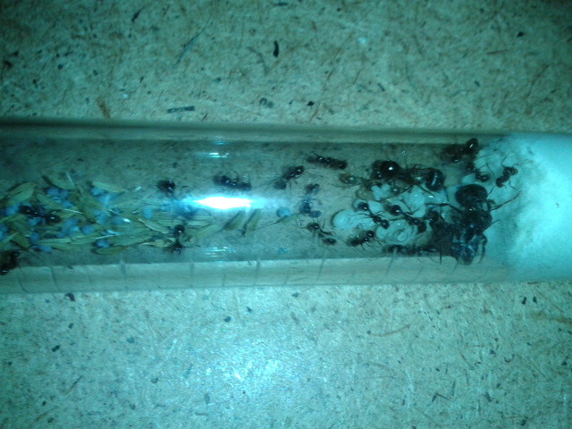 2014-06-06 20.19.33.jpg