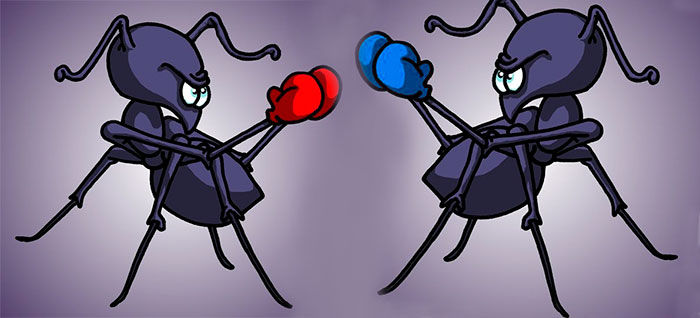 fight_ant.jpg