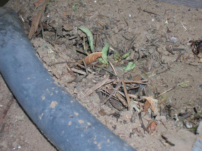 входы-выходы