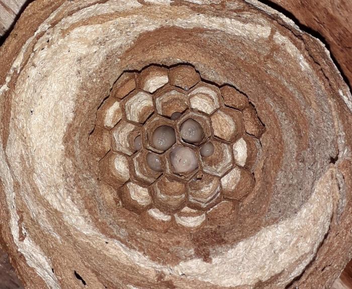 20190530_191856 (2).jpg