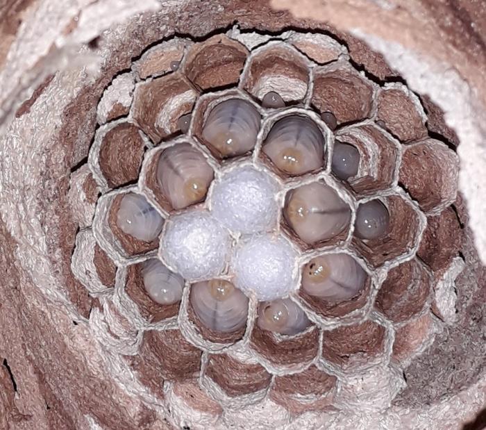 20190604_181056 (2).jpg