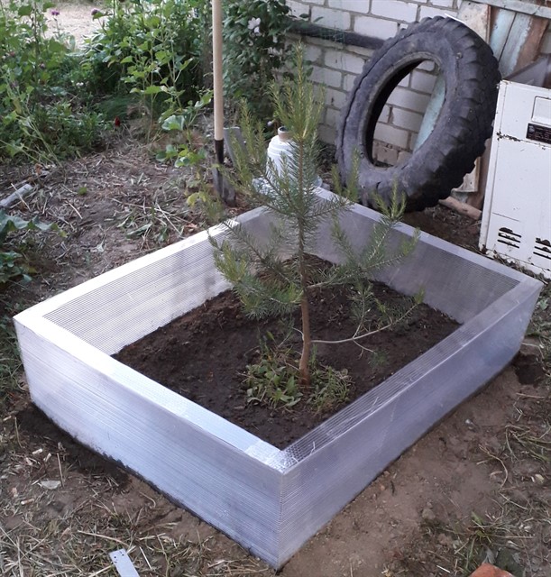 20190610_204236_611x640 (2).jpg