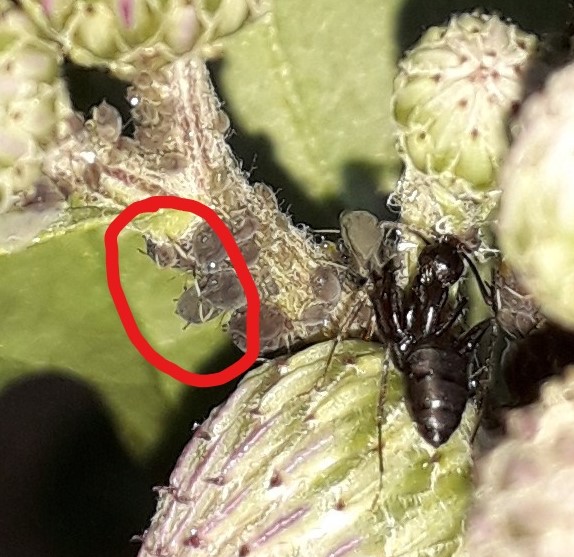 20190623_200450_LI (2).jpg