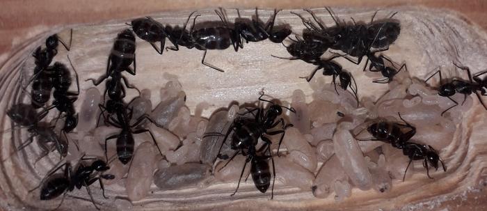 20190629_192416 (2).jpg