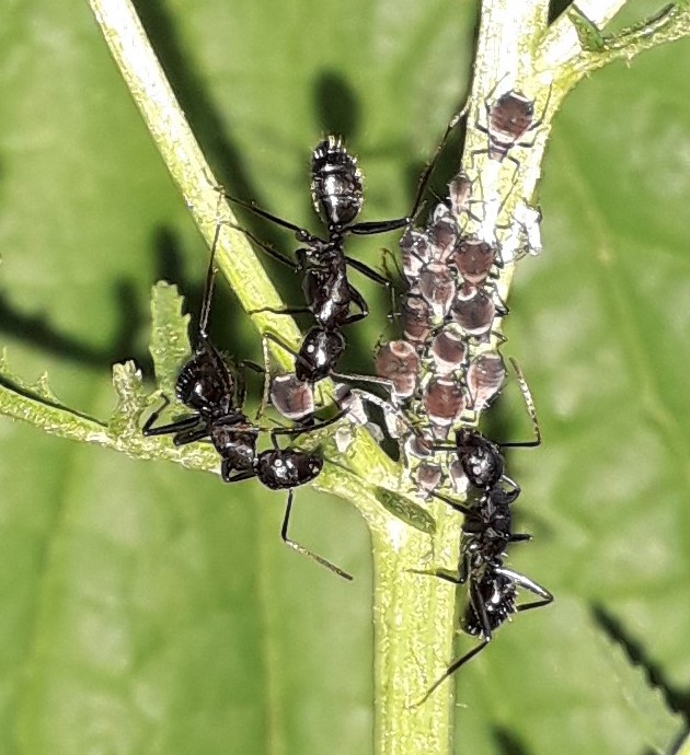 20190705_201212 (2).jpg