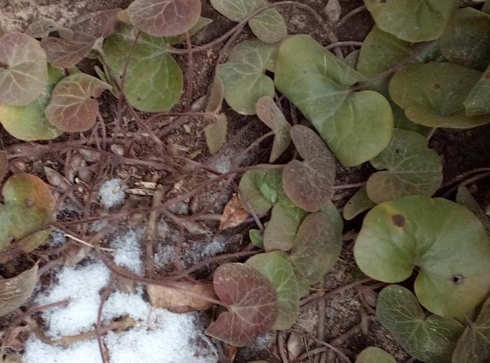 IMG_20200223_091344 (2).jpg