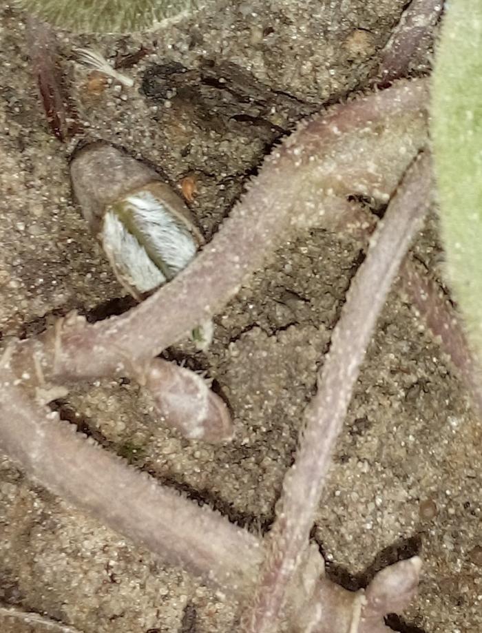 IMG_20200303_103343 (3).jpg