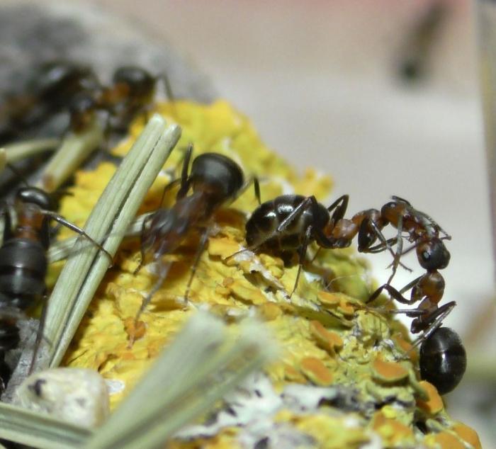  Ð¿Ð¾ ÑÐ°ÑÐ¿Ð¸ÑÐ°Ð½Ð¸Ñ (3).JPG