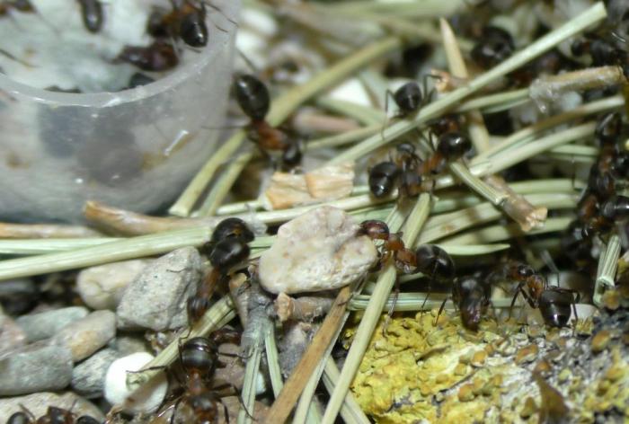  ÑÑÑÑÐ½ÐµÐ¼ (1).JPG