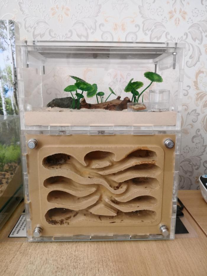 Формик со стелом на магнитах