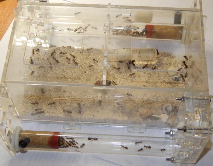  Ð² Ð°ÐºÑÐ¸Ð» ÑÐ¾ÑÐ¼Ð¸ÐºÐµ .jpg