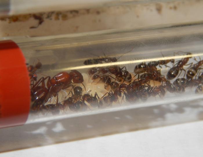  Ð² ÑÐ¾ÑÐ¼Ð¸ÐºÐµ 2.jpg