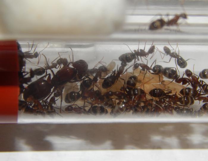  Ð² ÑÐ¾ÑÐ¼Ð¸ÐºÐµ.jpg