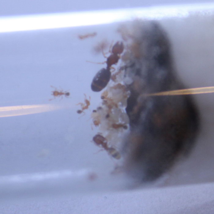 IMG_7540 1_Ð¸Ð·Ð¼ÐµÐ½.ÑÐ°Ð·Ð¼ÐµÑ.jpg