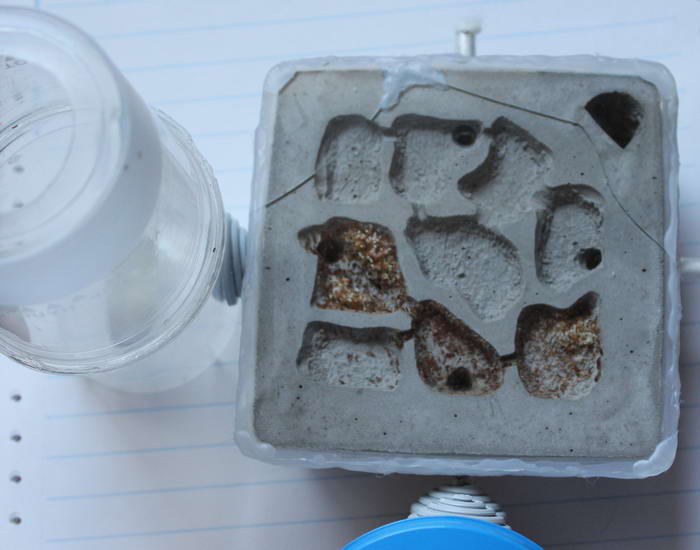 IMG_7975 1_Ð¸Ð·Ð¼ÐµÐ½.ÑÐ°Ð·Ð¼ÐµÑ.jpg