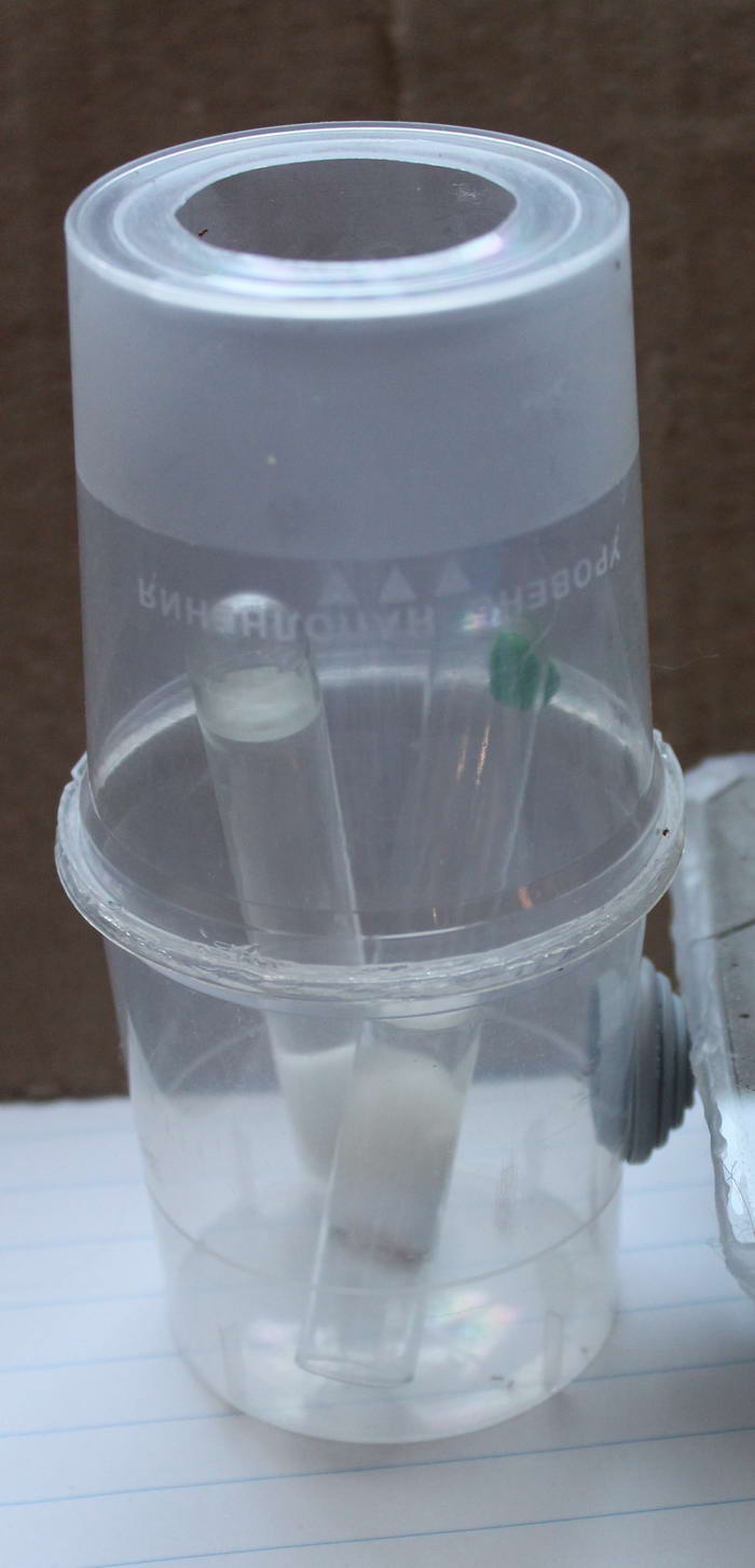 IMG_7977 1_Ð¸Ð·Ð¼ÐµÐ½.ÑÐ°Ð·Ð¼ÐµÑ.jpg