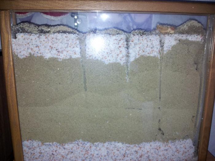 20120424_120013 (ÐопиÑоваÑÑ).jpg