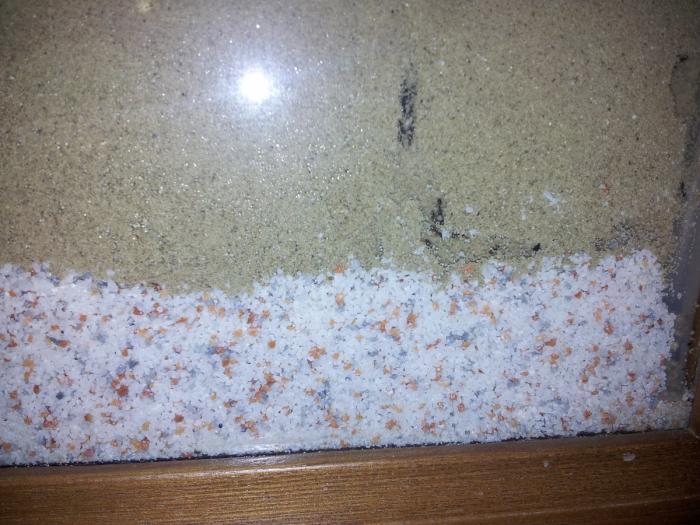 20120424_120020 (ÐопиÑоваÑÑ).jpg