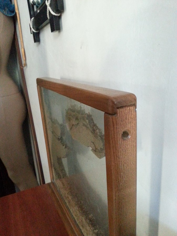 20150530_173740 (ÐÐ¾Ð¿Ð¸ÑÐ¾Ð²Ð°ÑÑ).jpg