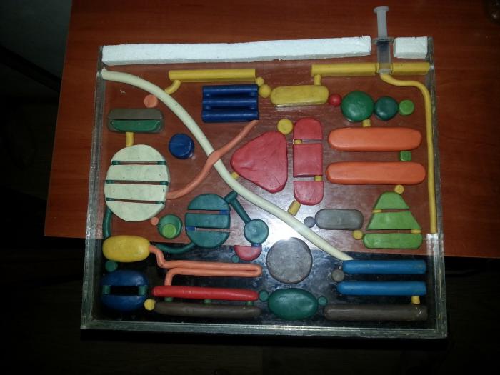 20150613_200743 (ÐÐ¾Ð¿Ð¸ÑÐ¾Ð²Ð°ÑÑ).jpg