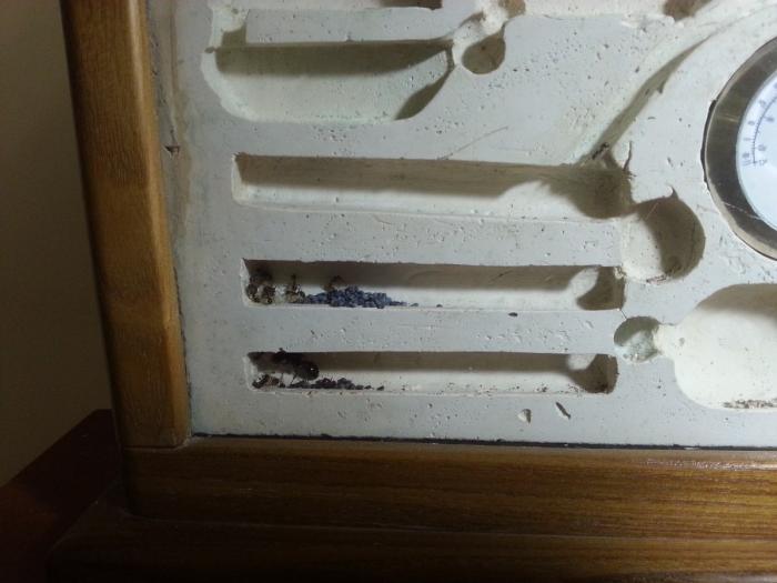 20150712_211858 (ÐопиÑоваÑÑ).jpg