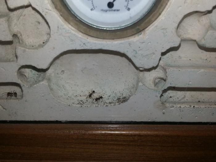 20150804_103438 (ÐопиÑоваÑÑ).jpg