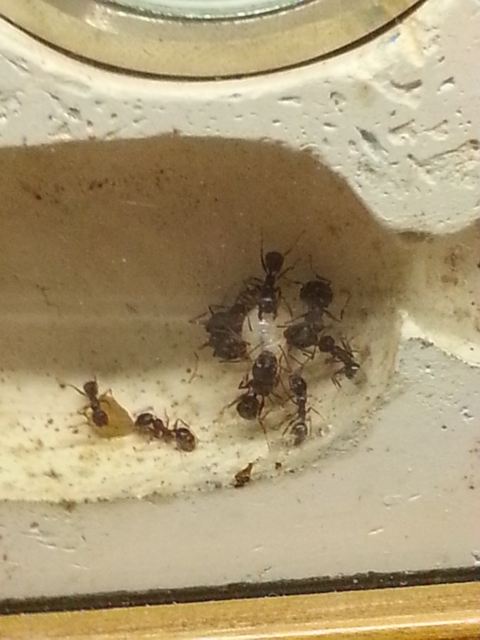 20151209_165657 (ÐопиÑоваÑÑ).jpg