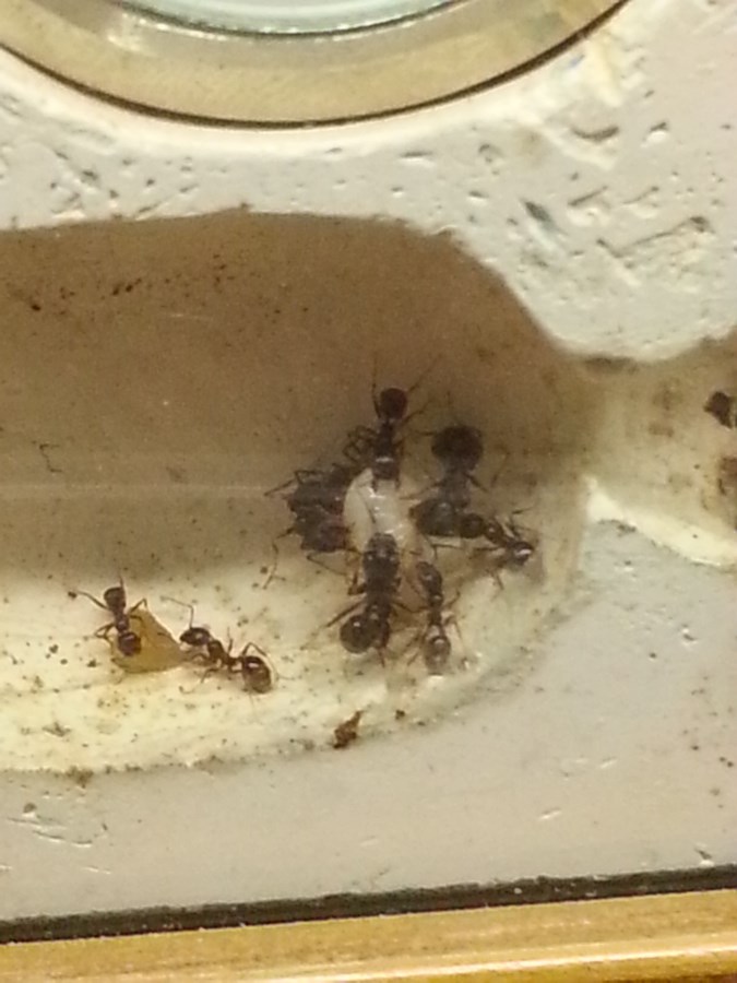 20151209_165658 (ÐÐ¾Ð¿Ð¸ÑÐ¾Ð²Ð°ÑÑ).jpg