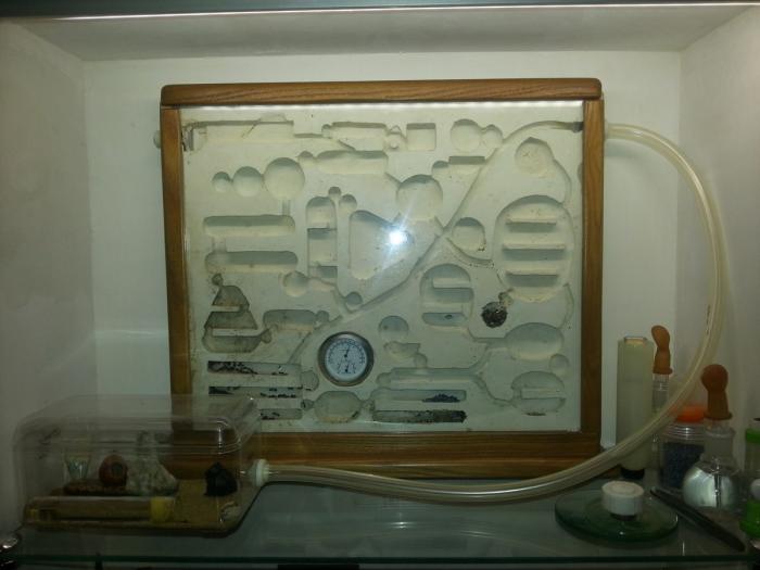 20160104_162028 (ÐопиÑоваÑÑ).jpg