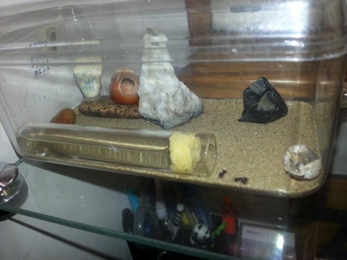 20160104_162057 (ÐÐ¾Ð¿Ð¸ÑÐ¾Ð²Ð°ÑÑ).jpg