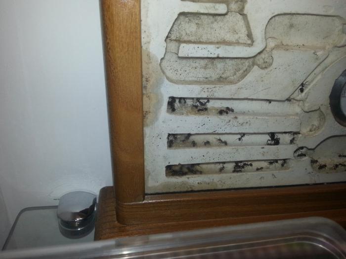 20160105_132224 (ÐÐ¾Ð¿Ð¸ÑÐ¾Ð²Ð°ÑÑ).jpg