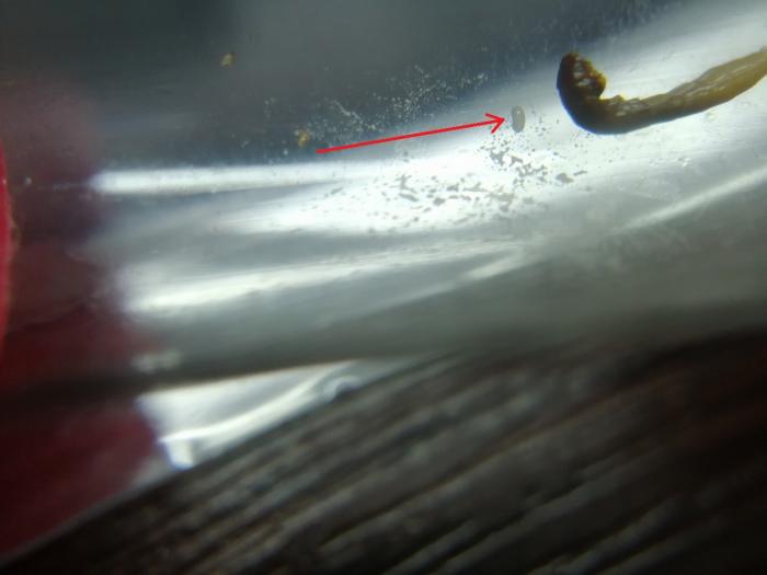 01.02.2019 (1)_0.jpg