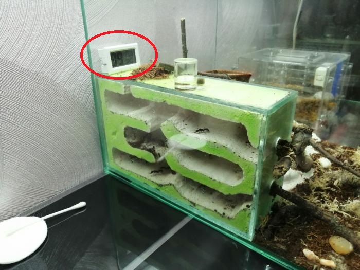 01.12.2018 (1)_0.JPG