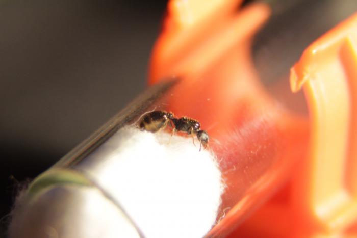 09.06.2018 (2)_0.JPG