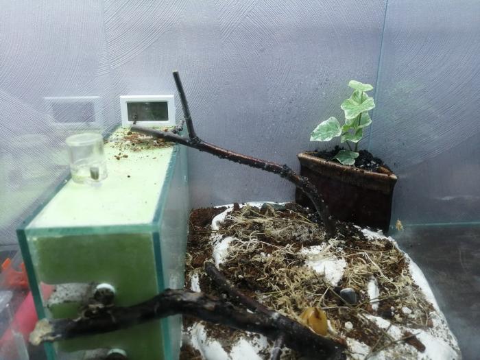 21.01.2019 plusch.jpg