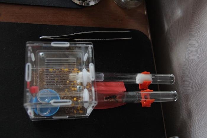 Вот так и живём