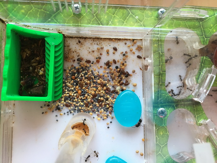 19.04.22 - Похоже переувлажнила...