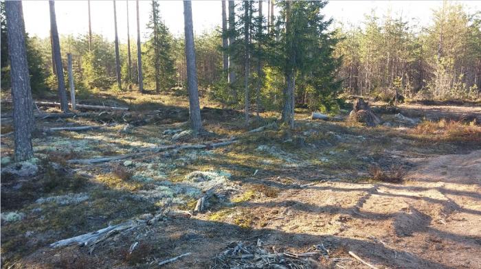 У точки возврата