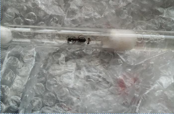 К поездке почти готовы