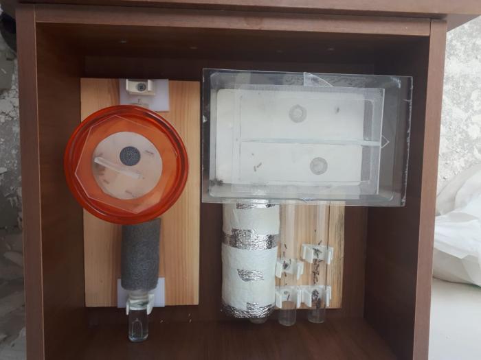 WhatsApp Image 0.jpeg