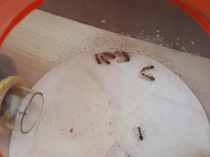 WhatsApp Image 1.jpeg