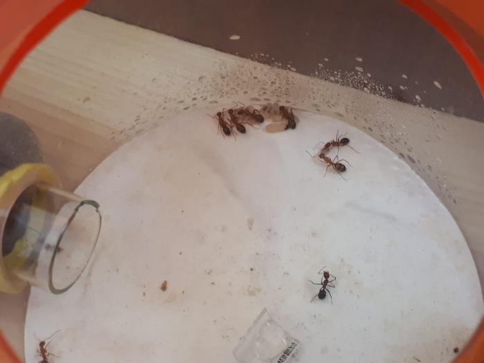 WhatsApp Image 3.jpeg