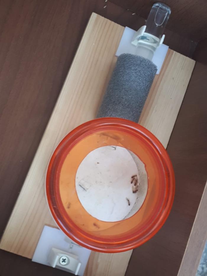 WhatsApp Image 4.jpeg