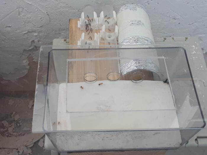 WhatsApp Image 5.jpeg