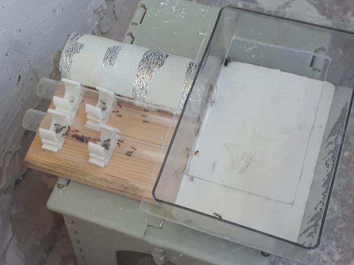 WhatsApp Image 7_0.jpeg